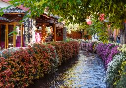 travel picture