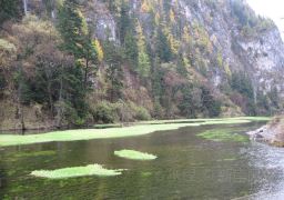 travel picture