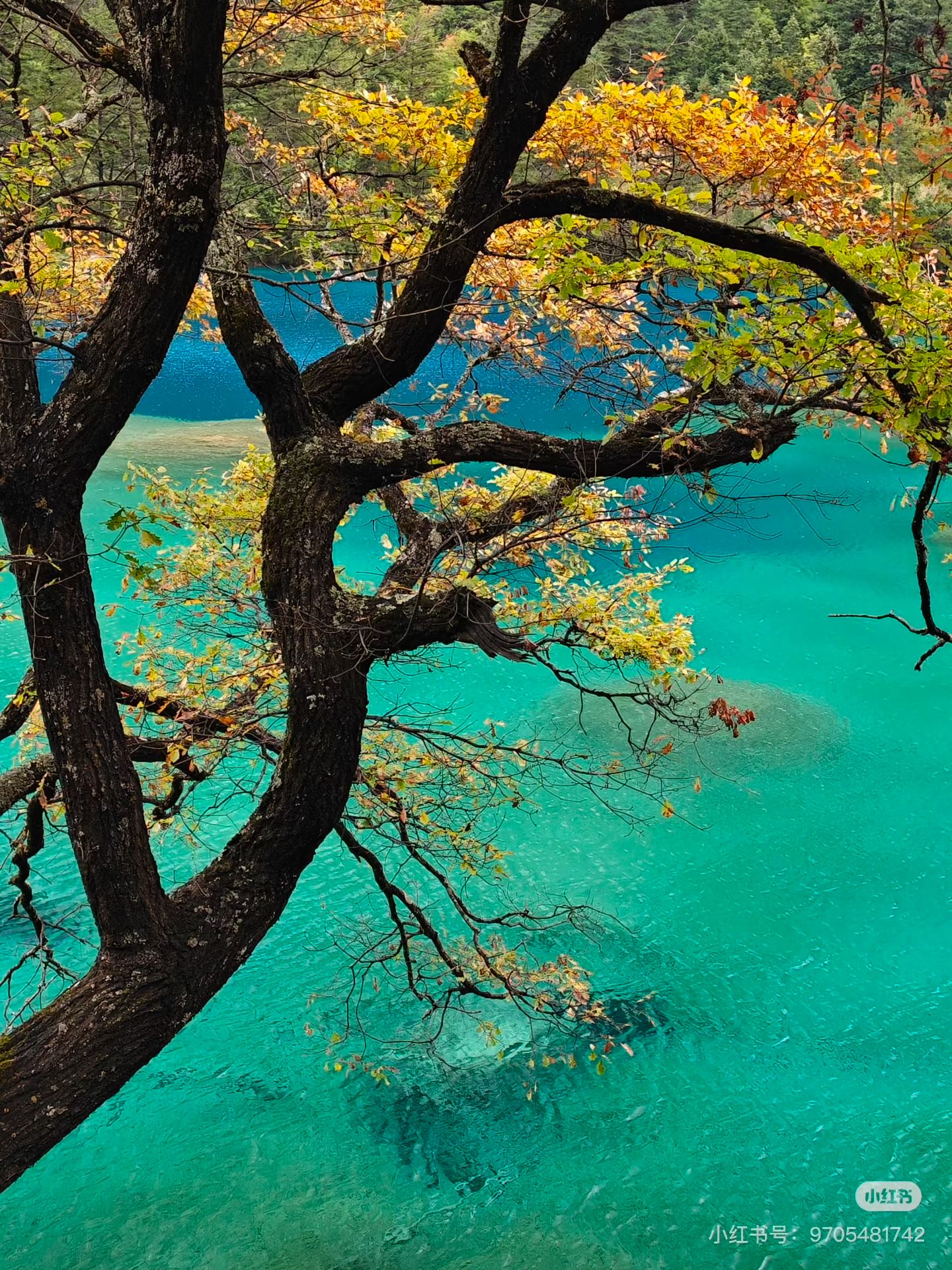 AA456C6C2FD1A9A77C71C2891BD30269