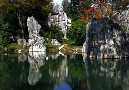 travel picture