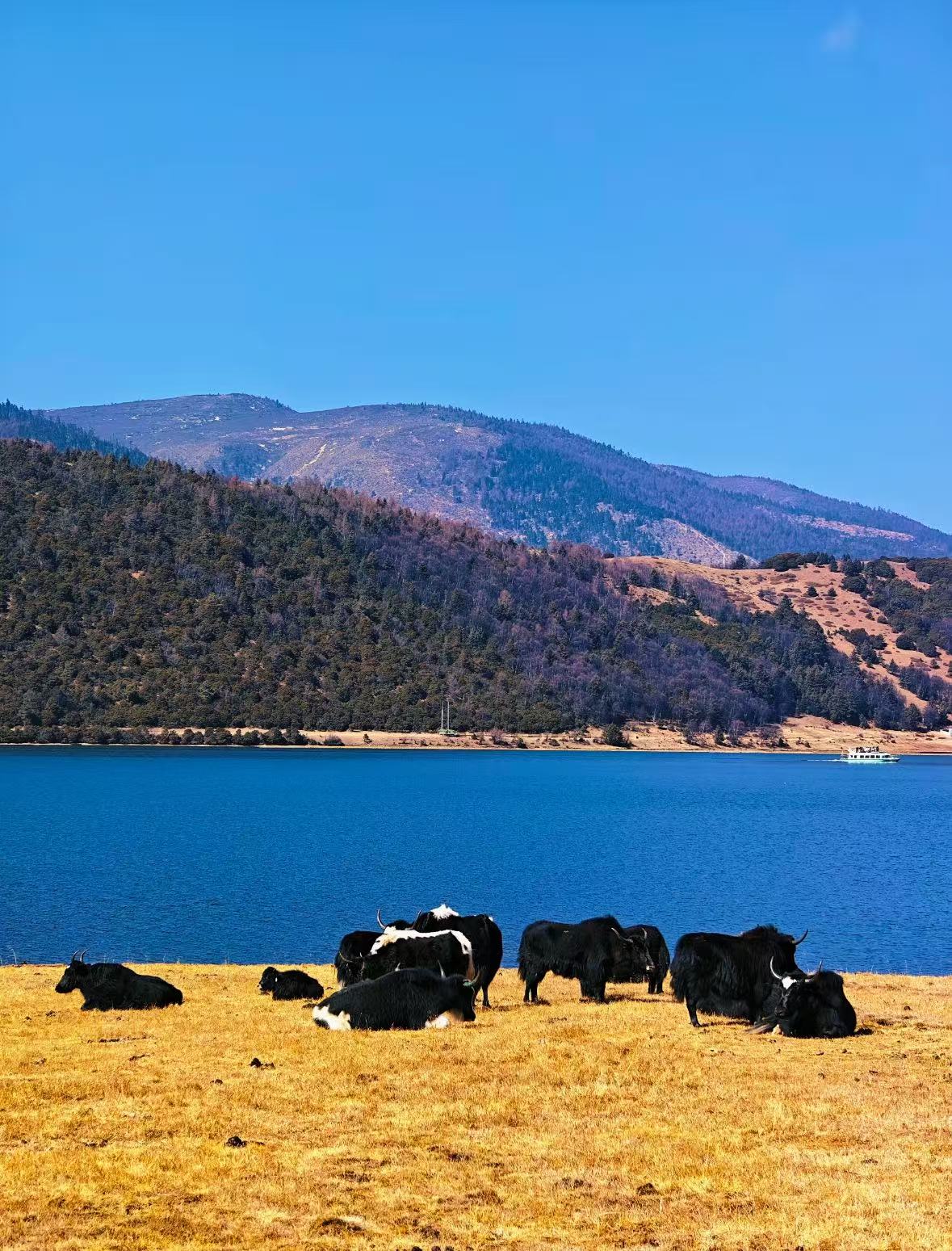 微信图片_20251029153633_26_1