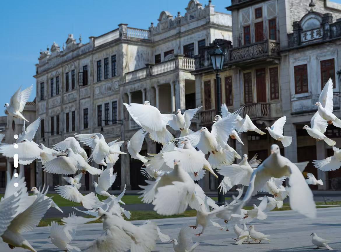 微信图片_20251028084838_31_98