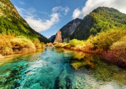 travel picture