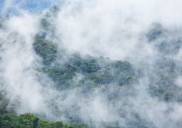travel picture