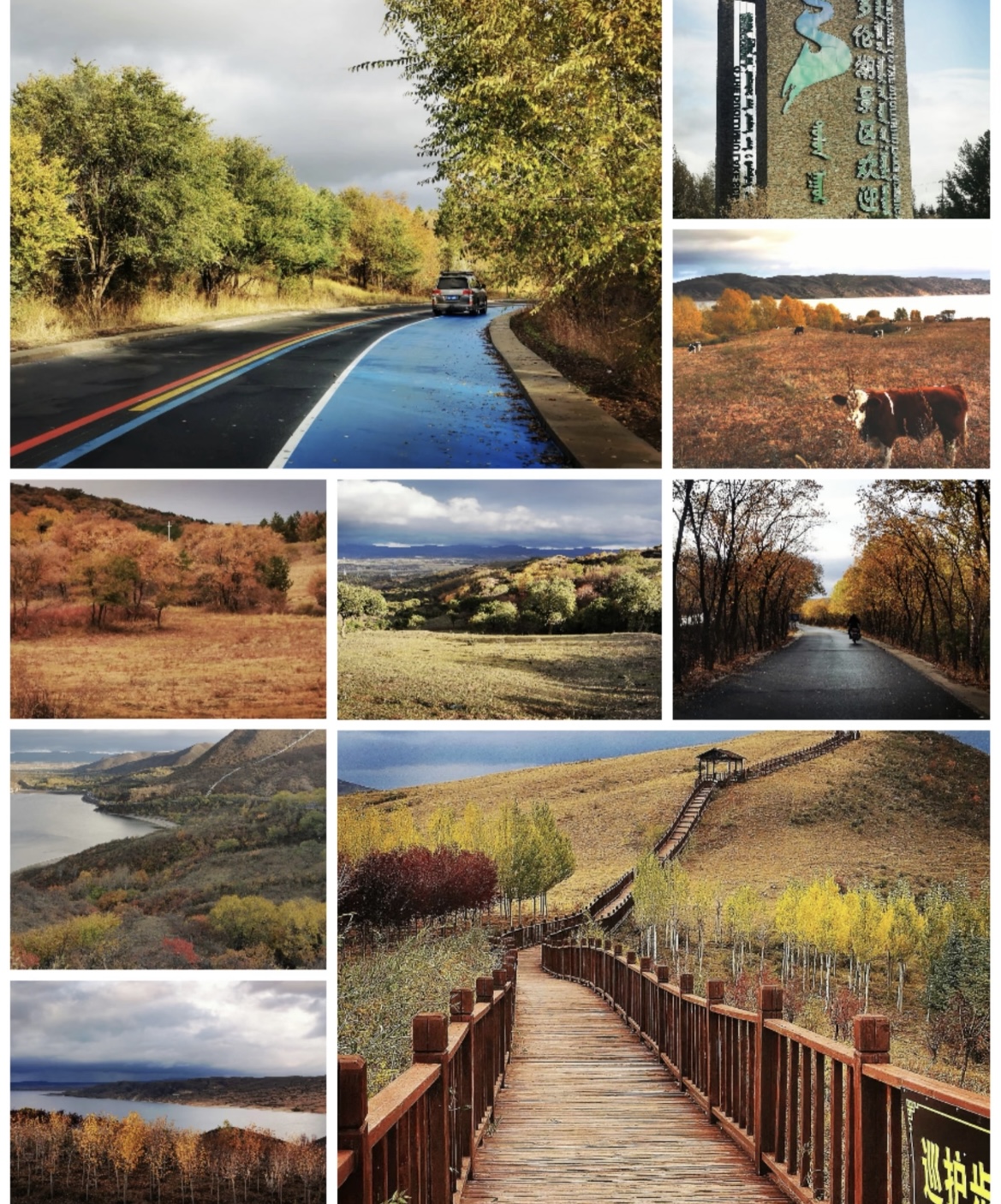 微信图片_20251102222616 微信图片_20251102222616