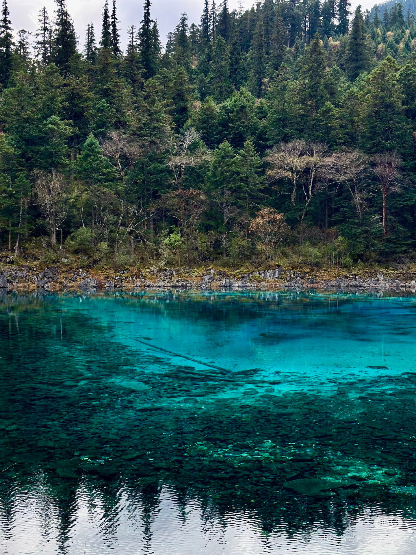 5B6C546045A0301F8F314156E8E5EBCF