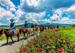 travel picture