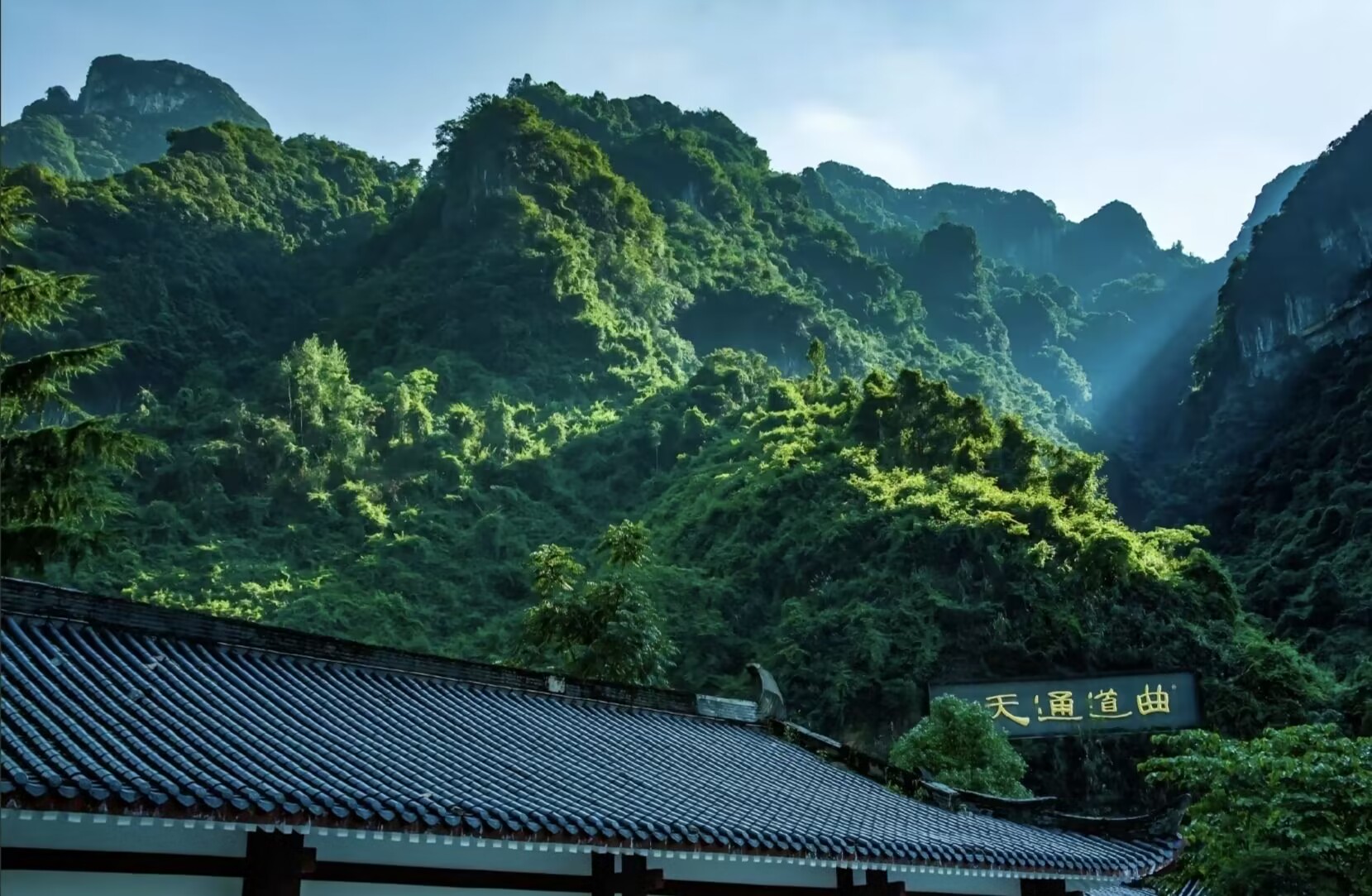 说明