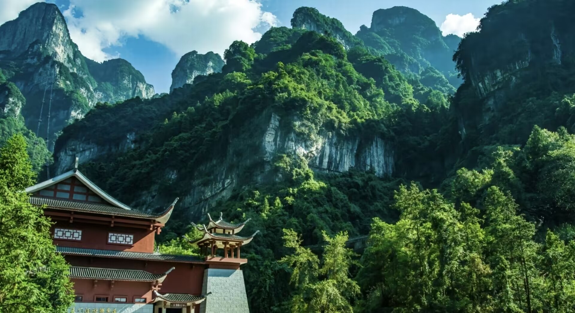 说明