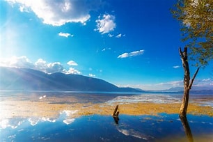 说明