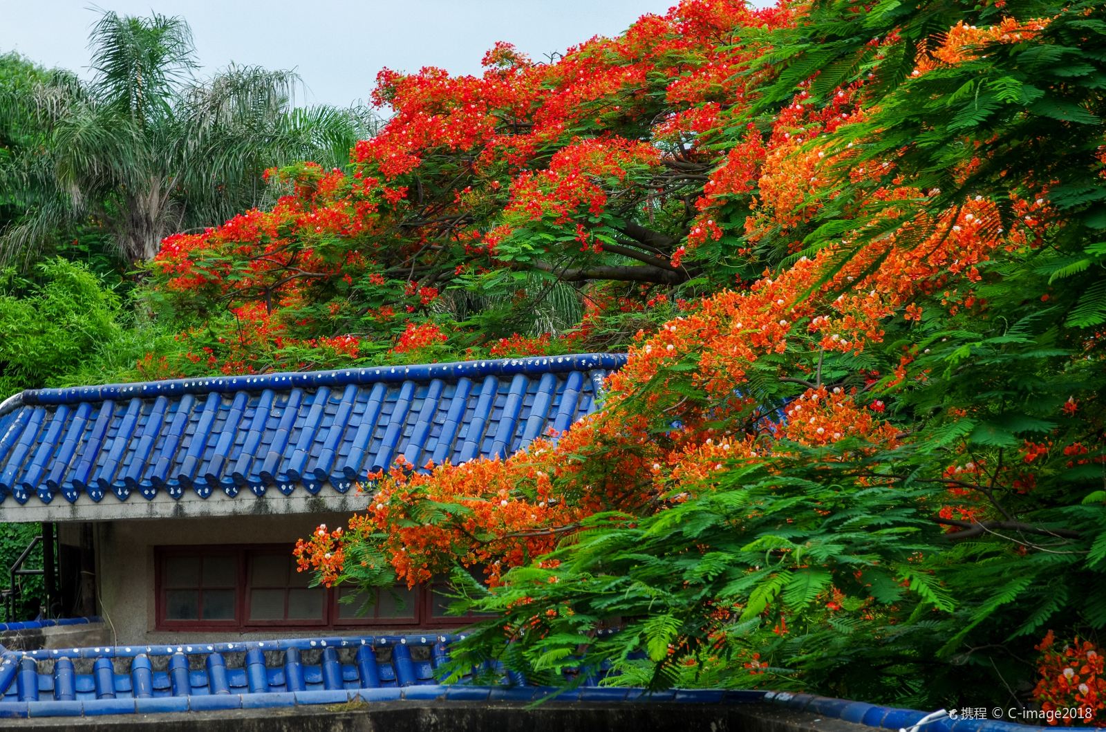 说明