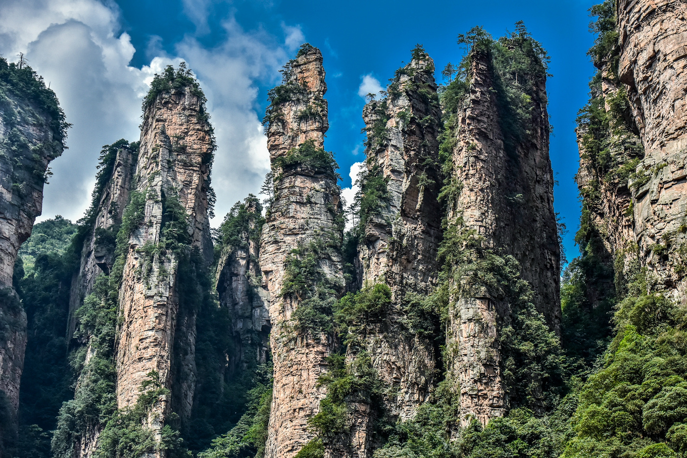 说明