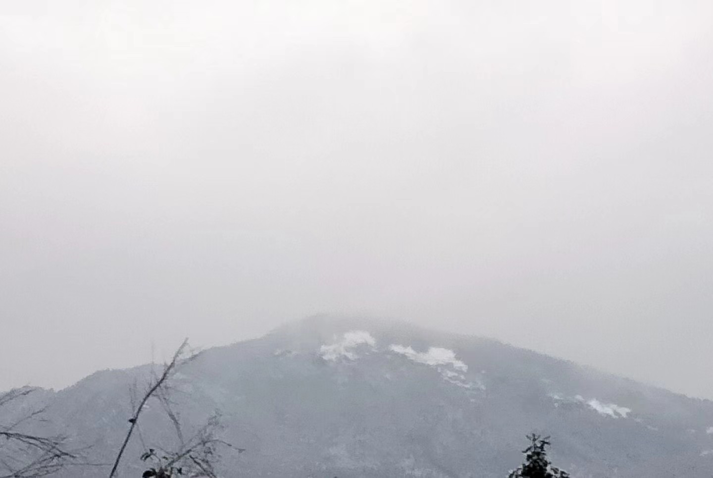说明